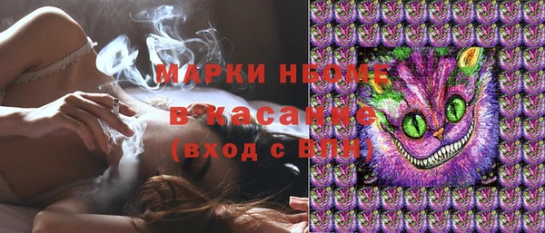 mdpv Инсар