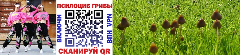 Галлюциногенные грибы мухоморы Назрань