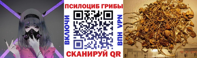 Галлюциногенные грибы GOLDEN TEACHER  darknet формула  Назрань  как найти  